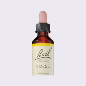 Bach Original Flower Remedies Gorse 20mlBy Nelson